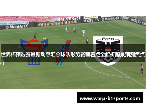 世界杯预选赛最新动态汇总球队形势赛程看点全解析前景预测焦点